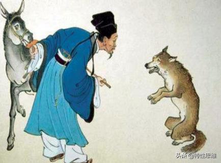 喂不熟的白眼狼，荷兰