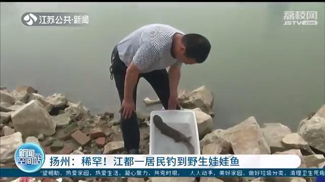 扬州居民钓到野生娃娃鱼 当场拒绝他人5千元收购并报警