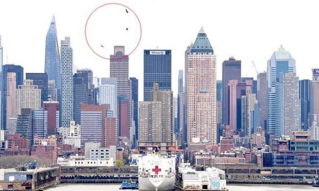 大批秃鹫现身纽约领空，特朗普突然通告海外，下达禁令全球哗然