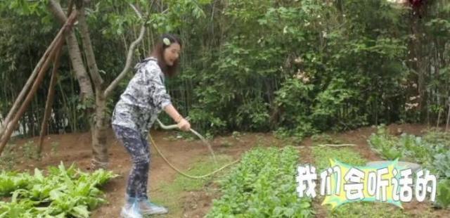 周海媚独居北京，坐拥超大菜园，直言不需要找