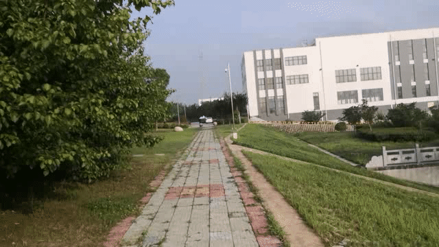 轻松便携、高性价比、MOZA魔爪Mini-s手机云台稳定器评测