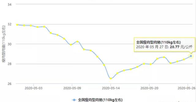 第二、三季度的生猪市场将如何发展？高位还能