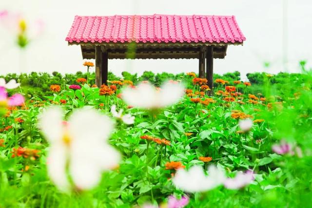 澧县暴雨橙色预警，彭山景区越挫越勇，风雨过后等您见彩虹