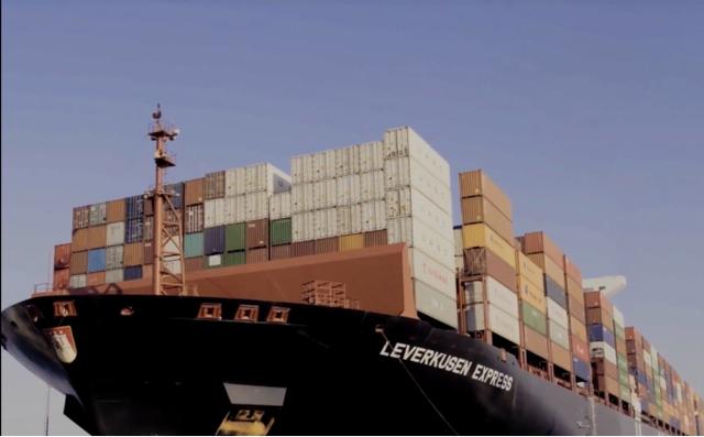 10죡йͻȻŻӡȺƷؼ飬ʲô