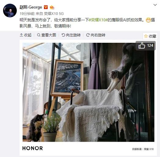 赵明晒荣耀X10 鹰眼级AI抓拍样张：摄影风暴，马上就到