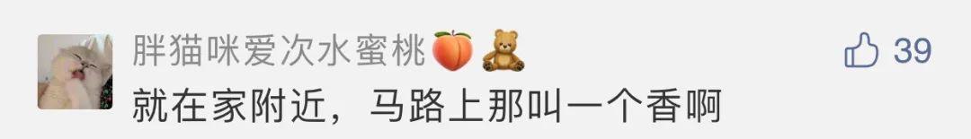 『好致』货车门没关好致千余箱茅台掉落 网友：估计马路都醉了