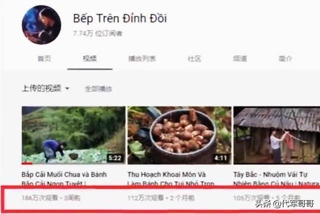 网曝越南博主抄袭李子柒引发热议！这位越南李子柒到底什么来头？