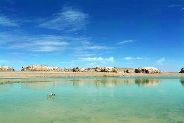 景美人少，不收门票，这个艳压马尔代夫的“冰淇淋牛奶湖”火了