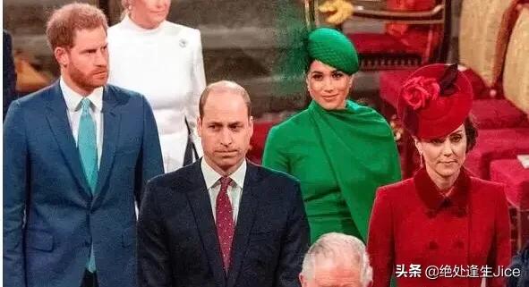 据透露，哈里和梅根的“复仇”之书，是个“巨