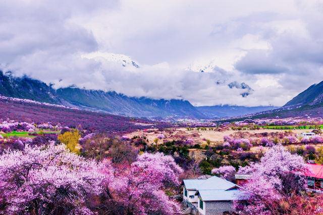 冬天的结束，就是春的开始，自驾去西藏林芝邂逅桃花节