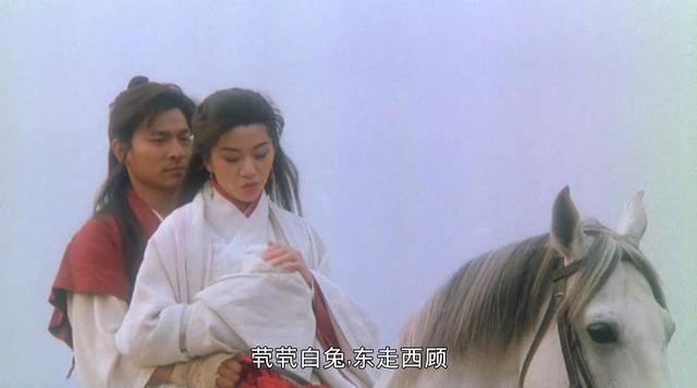 59岁华仔怕老？为什么帅是港片劳模刘德华一生无