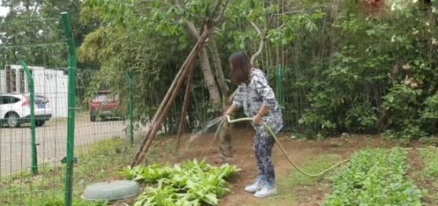 周海媚独居北京，坐拥超大菜园，直言不需要找