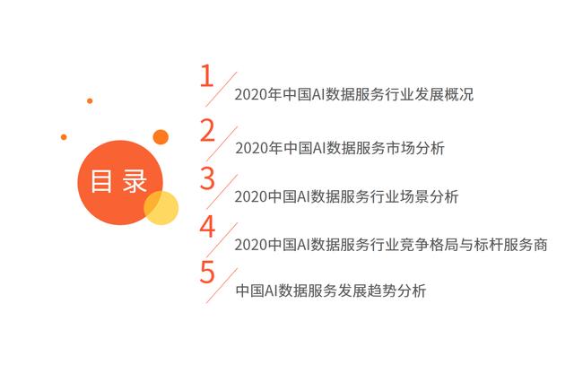 中国AI数据服务专题研究报告：数据服务技术升级成竞争焦点