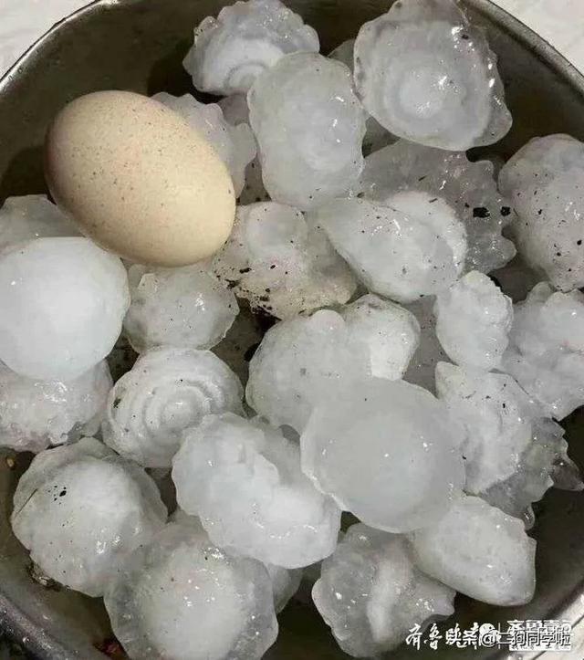 昨晚，山东14市遭遇冰雹天气！最大鸡蛋个头等于