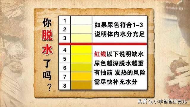 三伏天出汗多，各年龄段宝宝如何科学补水？这3点才是判断依据