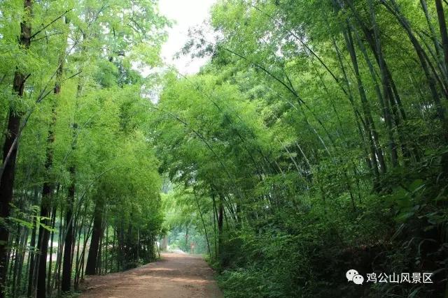 炎炎夏日 雞公山邀你來“吃瓜”~