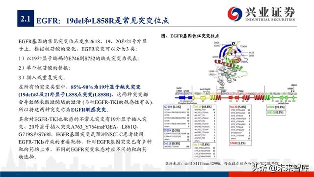 肺癌专题报告：序贯靶向治疗是核心，免疫联合治疗是新常态