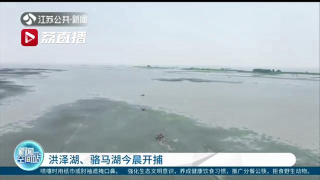 【骆马湖】洪泽湖、骆马湖7月1日开捕啦 封湖禁渔五个月