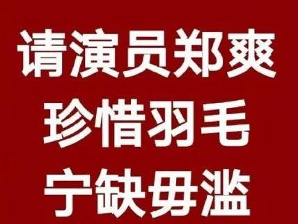 郑爽，还是演员吗？