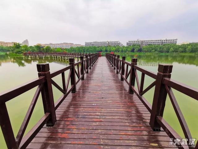 武汉科技大学，神一样的大学