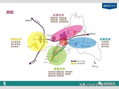 "村集体+公司+家庭农场"为乡村造血模式—浙江安吉鲁家村案例评析