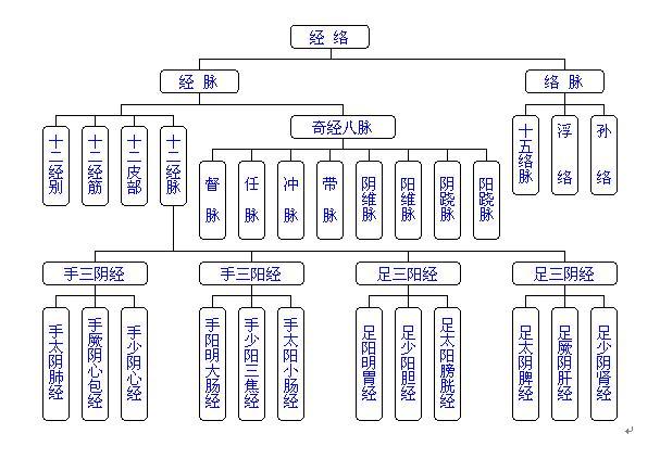 经络即是气血，经络的特点、作用是什么？