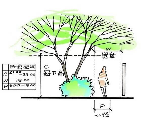 一份图文并茂的手绘景观设计说明，送给家中有户外庭院的朋友