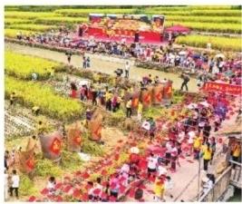 福建福安市：觀光農(nóng)業(yè)現(xiàn)代農(nóng)業(yè)撬動(dòng)鄉(xiāng)村經(jīng)濟(jì)發(fā)展