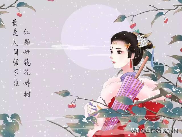 宋词里的惆怅，诉说着几许沧桑