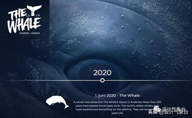 BIG惜败！再牛的方案也比不过一头鲸