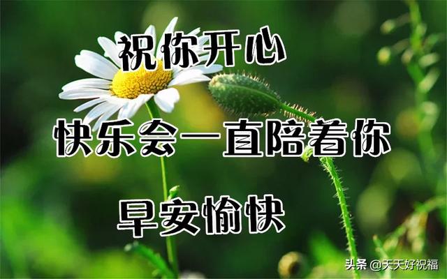 清晨|最美最暖心的清晨问候祝福语短信，很入心的早安祝福文字表情图片