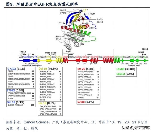 医药行业专题：第三代EGFR-TKI药物，第一大癌症造就百亿市场