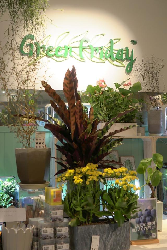 李诚：用Green Friday重新定义城市花园中心