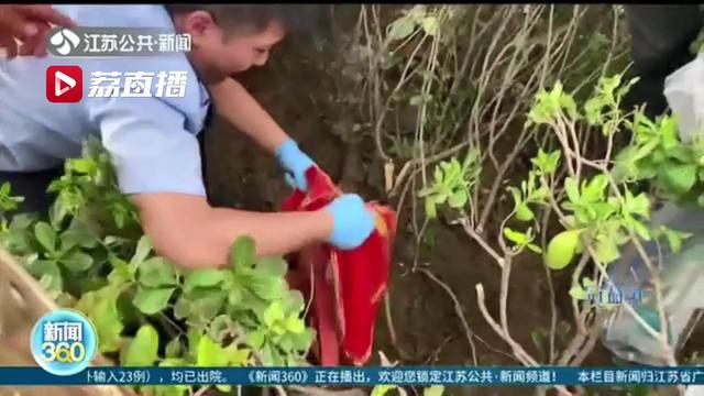 趁雨夜偷盗774件黄金首饰！作案中嫌疑人还两次前往受害人家中&hellip;