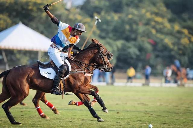 印度最年轻“国王”，13岁继位住300年皇宫，拥有