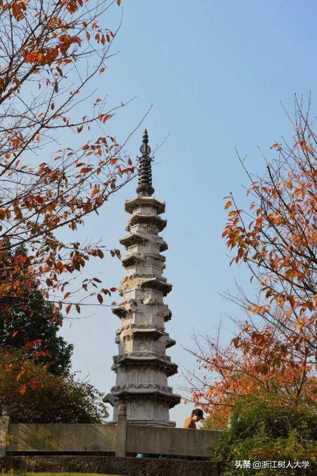 学会这些技巧，你也能拍出令人羡慕的“大片”