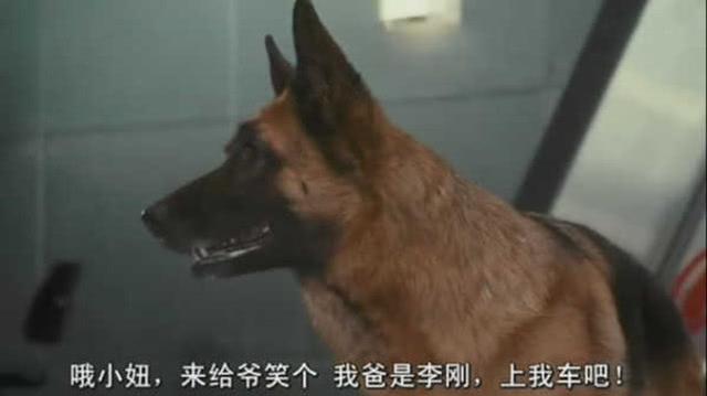 ��Ļ���ѳ����̵����Ӱ�Ӿ��е�������Ļ����