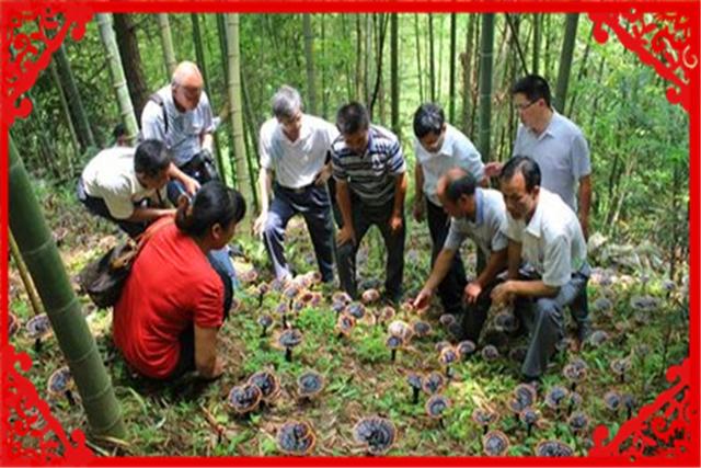 一天挣个三五百元，农村有哪些小生意可以做到