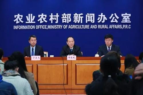 华北、东北、华中三地区猪价大跌！这3个原因决定下半年猪价走势