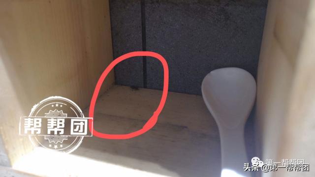 在菜里吃出“油炸蟑螂”，拍视频又惊现活蟑螂