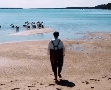 『翻车』综艺爆笑翻车大赏原来真的可以笑到肚子痛