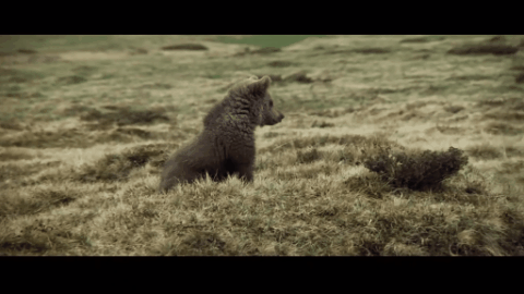 ����9.1�֣���ʵ�¼��ı࣬�ⲿ���ص�Ӱ���ҿ�һ�ο�һ��