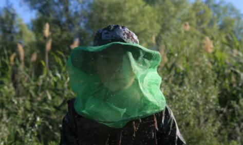 世界上最“危险”的动物，种类高达3000种，最密