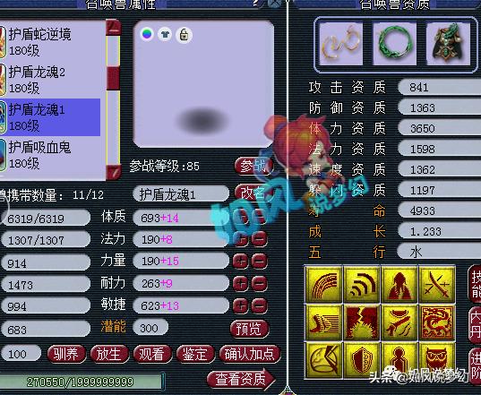 梦幻西游：千哥“指挥学院”招生，然总的8条龙魂护盾蛇全服第1