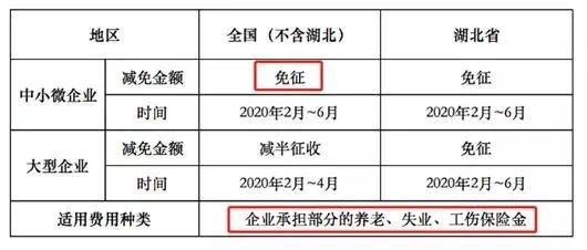 好消息！社保減免政策延至年底，個人權益不受影響