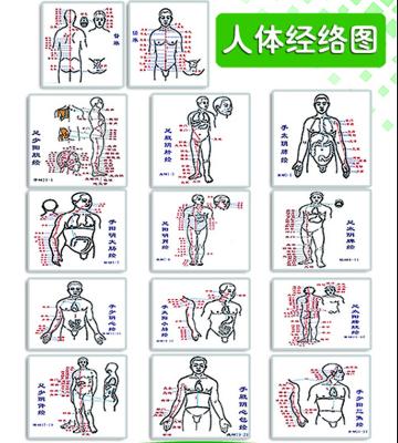 经络即是气血，经络的特点、作用是什么？