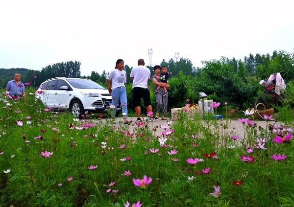 “老家河南.玩美鲁山”2019年中国鲁山摄影大赛初选作品选登（二十三 ）