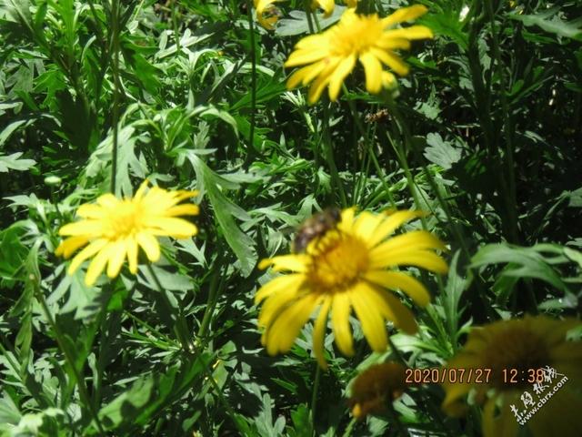 旅游旅行在丽江！人间值得