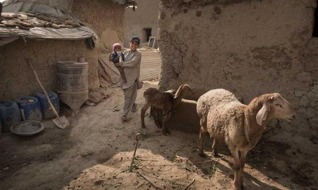 约一千万阿富汗人患新冠肺炎，阿可能爆发人道主义危机