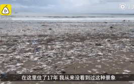 胡歌消失三个月后，发了条微博，令人唏嘘：他